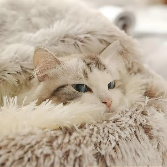 Lettino in Peluche: Il Rifugio Perfetto per il Tuo Gatto